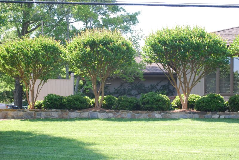 Lawncare