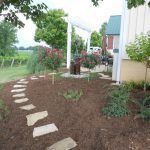 Lawn Seeding ian High Point, North Calo