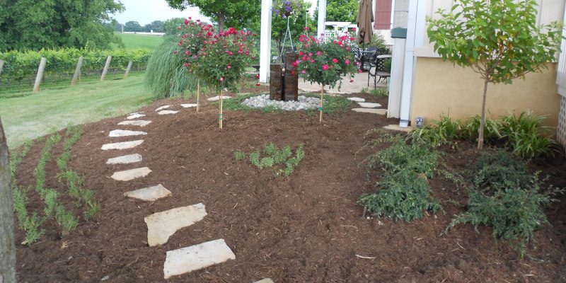Lawn Seeding in High Point, North Carolina