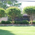 Lawn Mowing in High Point, North Carolina