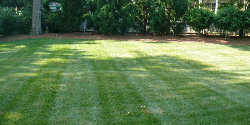Lawn Sodding in High Point, North Carolina