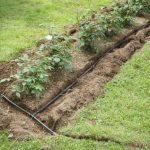 Lawn Maintenance in High Point, North Carolina