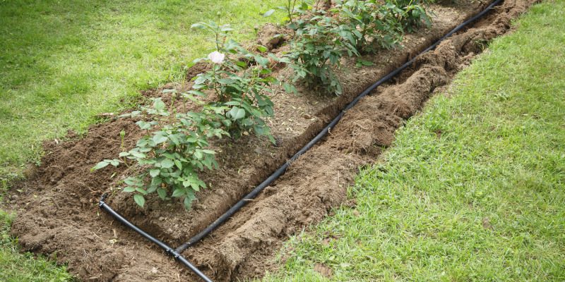 Lawn Maintenance in High Point, North Carolina