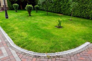 What Can Proper Yard Drainage Do for Your Lawn?