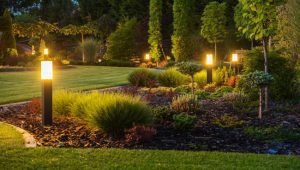 How to Maximize the Impact of Your Landscape Lighting