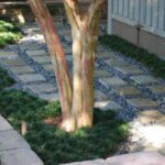 Tree Installation